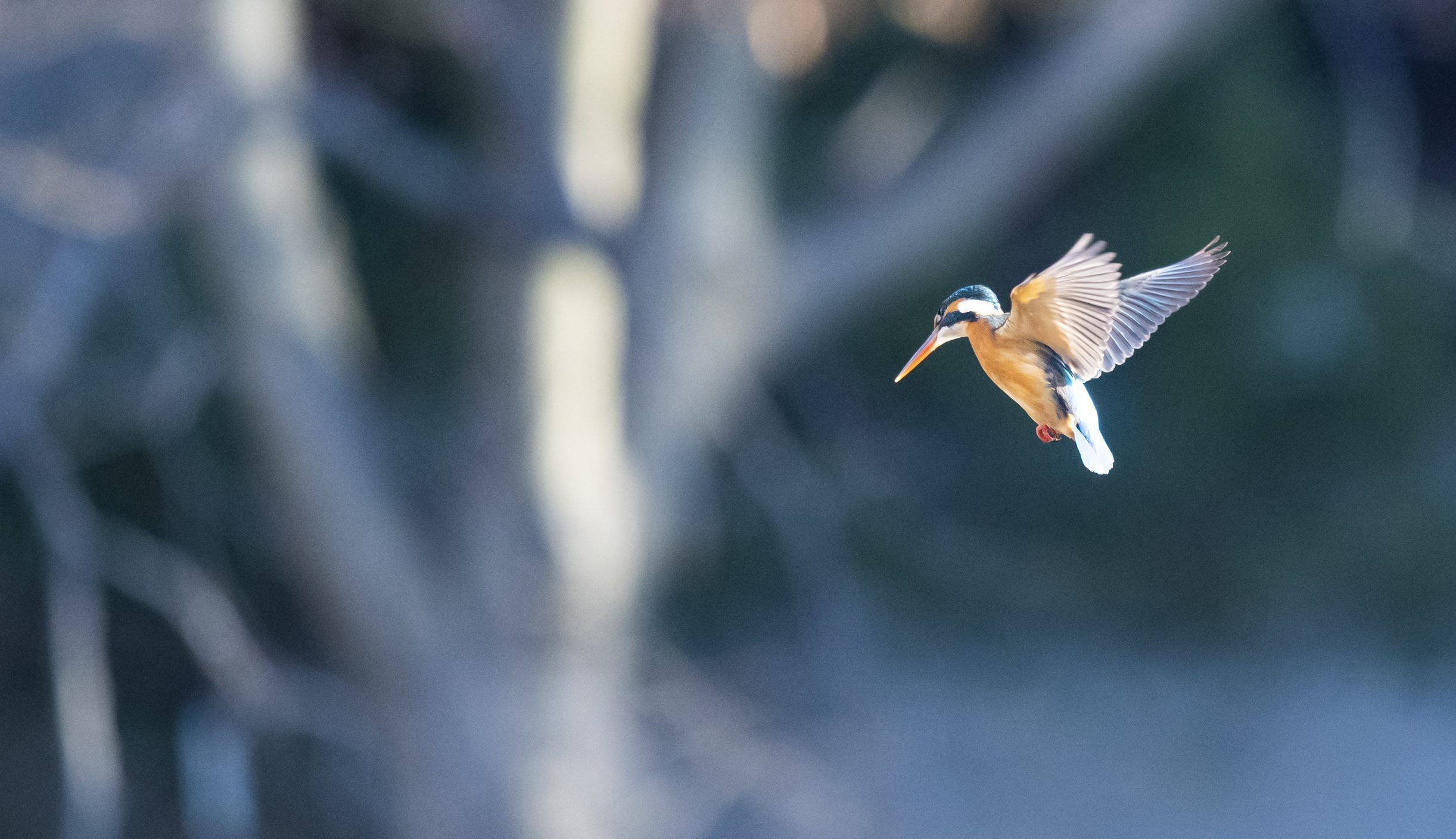 Compass Recruitment Solutions Compass Executives Compass Recruitment