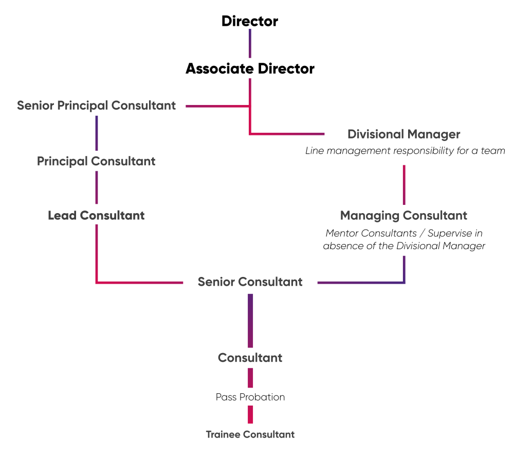 Compass Recruitment Solutions - Consultant career progression chart graphic